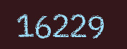 Security check