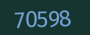 Security check